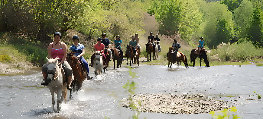 HORSE SAFARI - 4