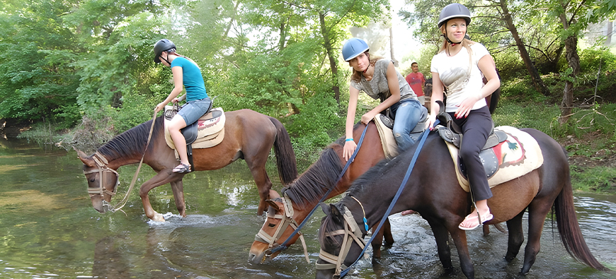 HORSE SAFARI - 3